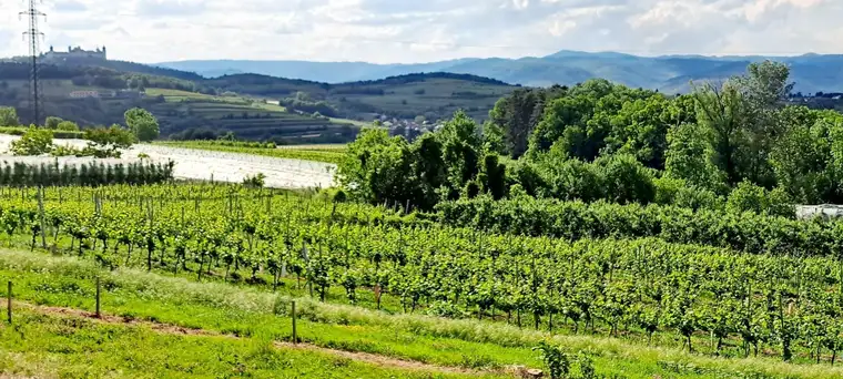 UNVERGLEICHBARER AUSBLICK