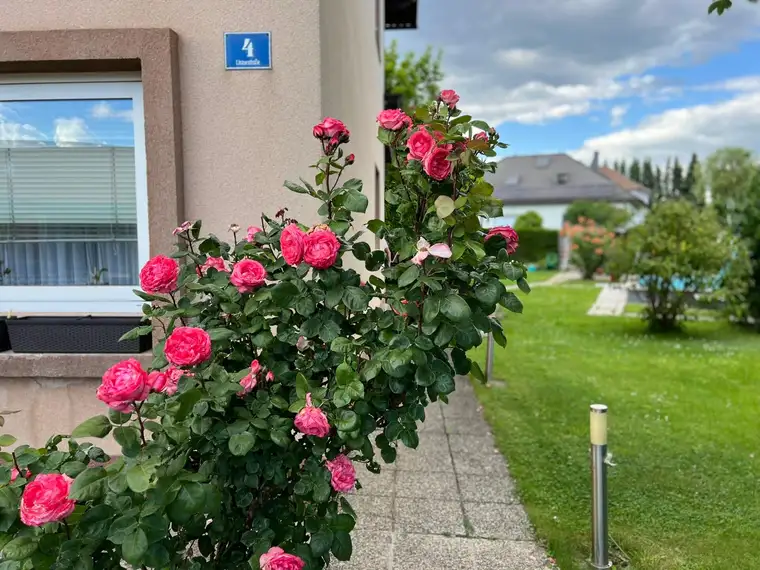 Erdgeschoss mit viel Platz zu mieten - mitunter perfekt für Ihre Mitarbeiter geeignet!