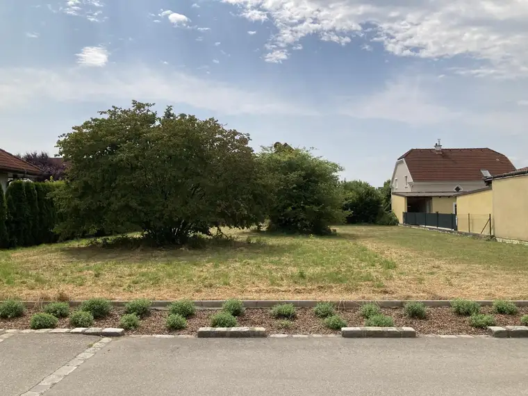 RARITÄT: EINE SELTENE GELEGENHEIT BIETET DIESES BAUGRUNDSTÜCK IN RUHIGER BESTLAGE MITTEN IN DER GARTENSTADT TULLN AN DER DONAU DAS ALLES OHNE BAUZWANG