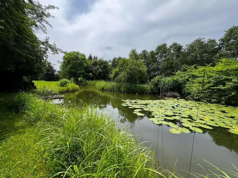 Naturjuwel in Gottsdorf – exklusives 4ha großes Grundstück mit drei Teichen