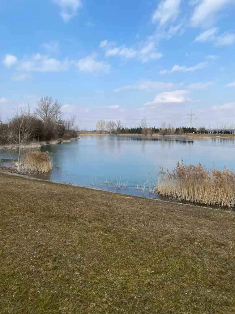 BAUGRUNDSTÜCK AM FÖHRENSEE IN TRASDORF INMITTEN DER NATUR AN FELDER DER REGION ANGRENZEND