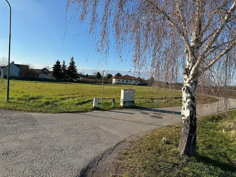 BAUEN UND WOHNEN MIT AUS- UND FERNBLICK DIREKT AN FELDER ANGRENZEND IN AUSGEZEICHNETER WOHNLAGE IM NAHBEREICH VON TULLN AN DER DONAU UND WIEN