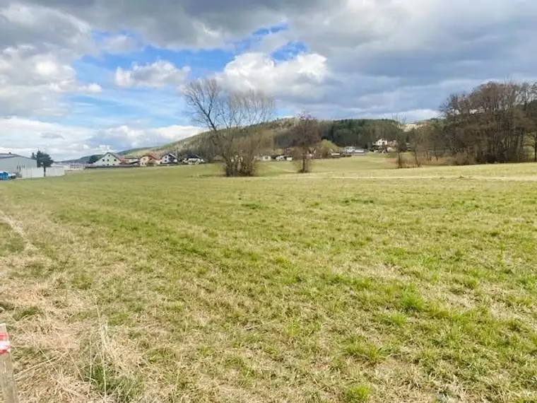 Reihenhaus Projekt - ruhige Lage am Ende einer Gasse!