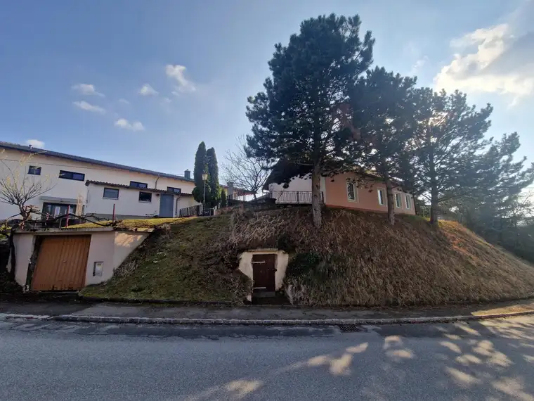 LIEBEVOLLES LANDHAUS MIT INNENHOF, WERKSTATT UND NEBENGEBÄUDEN IN PARADIESISCHER GRÜNLAGE