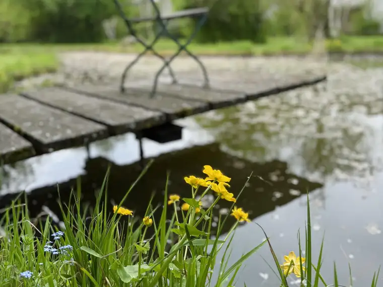 Naturjuwel in Gottsdorf – exklusives 4ha großes Grundstück mit drei Teichen