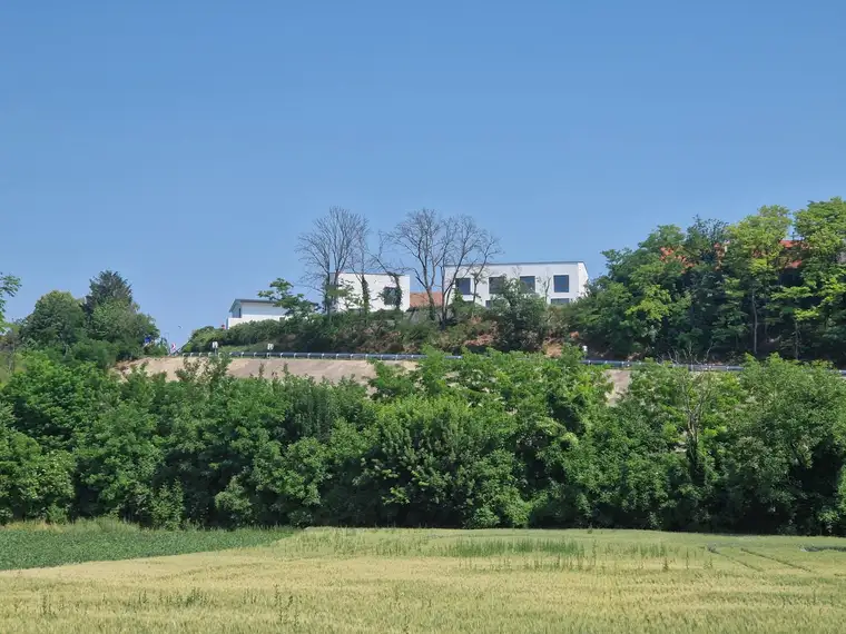 HERRLICHER AUSBLICK AN DER WAGRAMKANTE: MODERN, MASSIV &amp; HOCHWERTIG WOHNEN IN DER WEINREGION MIT BESTER INFRASTRUKTUR