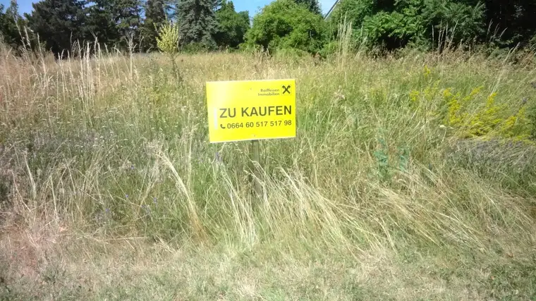 Baugrund in absoluter Ruhelage! ohne Bauzwang