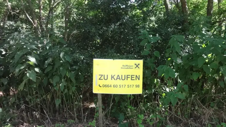 Verbuschtes Baugrundstück in ruhiger Lage ohne Bauzwang !