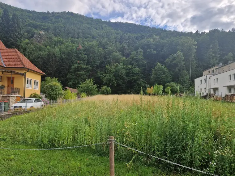 EINE SELTENE GELEGENHEIT: BAUGRUNDSTÜCK MIT EIGENEM WALD MIT HERRLICHEM AUSBLICK DIREKT AM WASSER