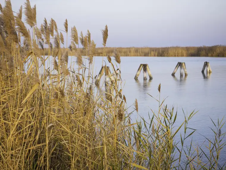 "The Lagoon" - Modern - Nachhaltig - Elegant