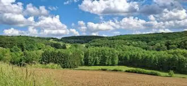Wald &amp; Wiese &amp; Bauland!