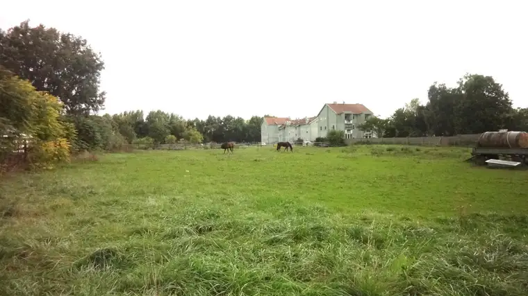 Großes Baugrundstück mit vielseitigem Bebauungspotential!
