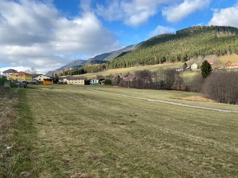 Wunderbares Baugrundstück im Naturdorf Prigglitz!