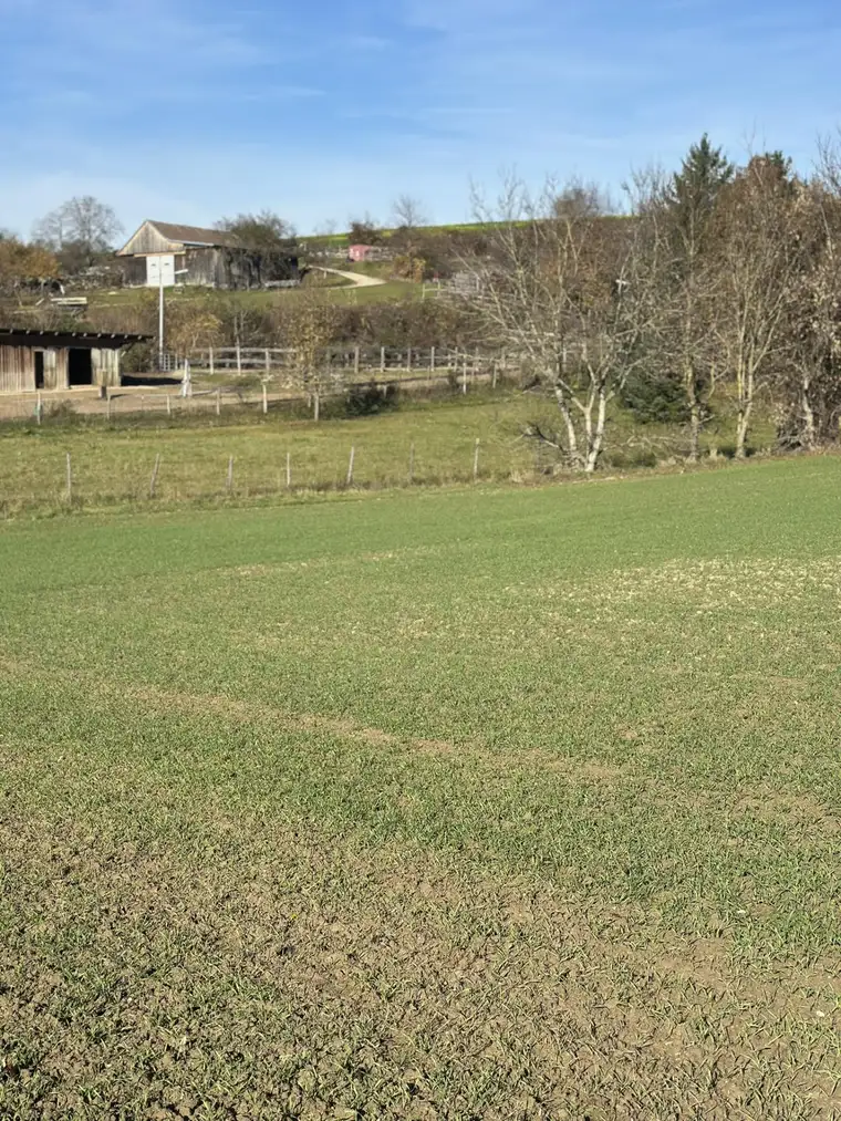 SONNIGE LEBENSQUALITÄT AM LAND FÜR IHR PRIVATES EINFAMILIENHAUS OHNE BAUZWANG