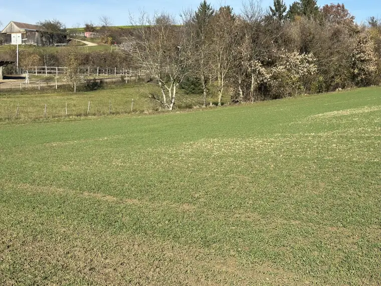 SONNIGE LEBENSQUALITÄT AM LAND FÜR IHR PRIVATES EINFAMILIENHAUS OHNE BAUZWANG