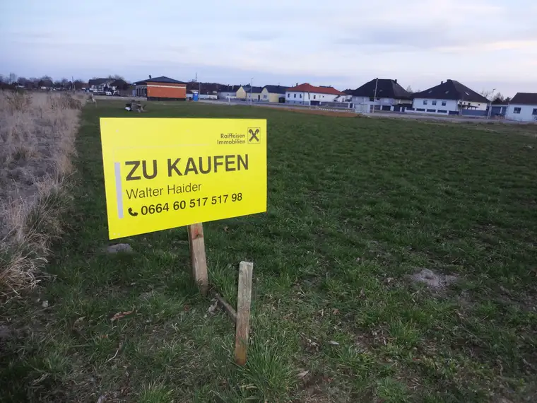 Baugrundstück am Stadtrand in Purbach !