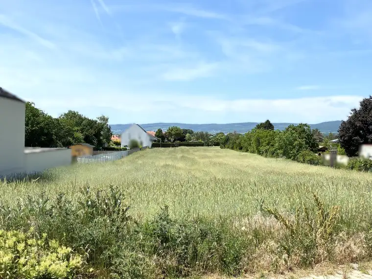 Rarität! Großer Baugrund im malerischen Oslip - 5min zum Neusiedler See!