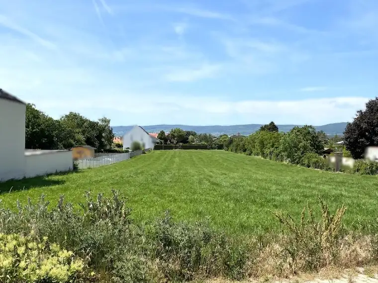 Rarität! Großer Baugrund im malerischen Oslip - 5min zum Neusiedler See!