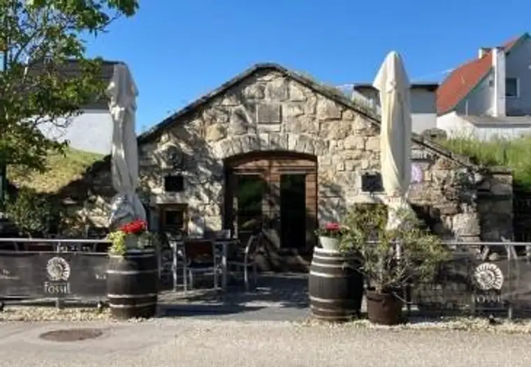 Einzigartiges Gastronomieobjekt mit historischem Kellergewölbe in der Kellergasse in Purbach!