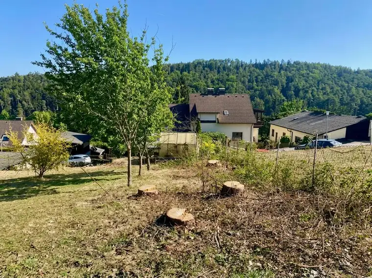 Ruhig, grün und sonnig! Schöner Baugrund Nähe Bad Erlach