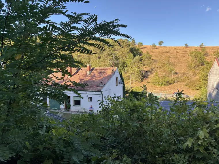 Großes Grundstück-1947m2- in Waldrandlage mit Altbestand zum Sanieren