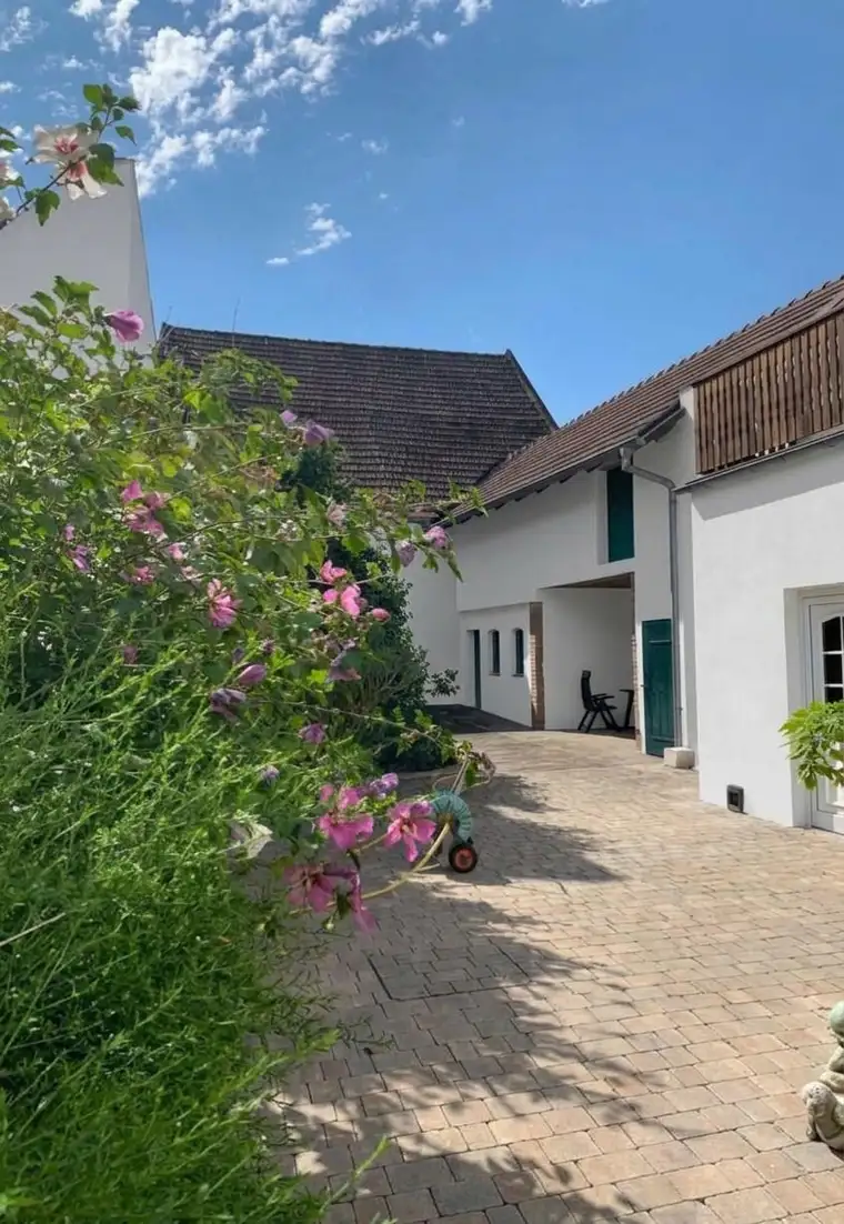 Arbeiten und wohnen in einen Haus mit Halle in ruhiger Wohnlage in Rust am See !