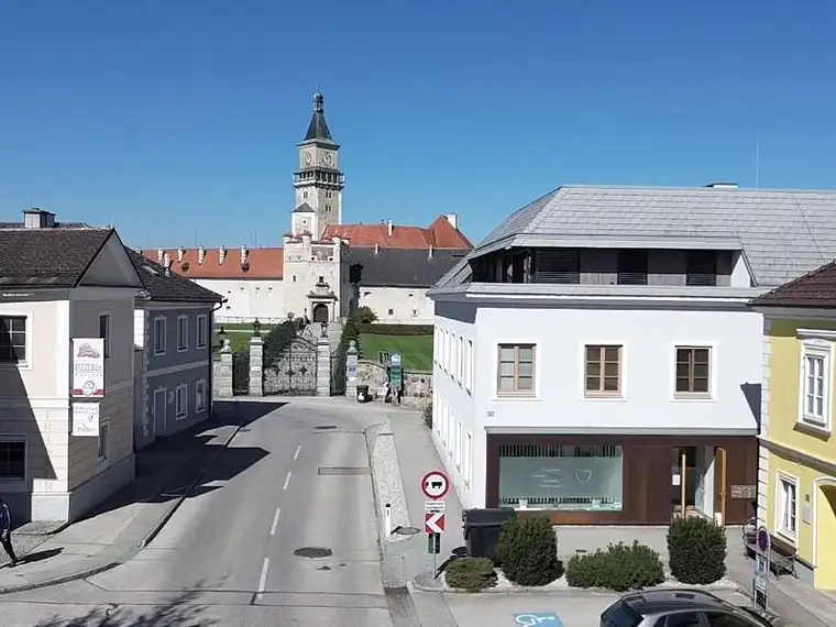 Wohnhausanlage mit SIEBEN Wohn- und einer Arztpraxis inmitten von Wallsee!