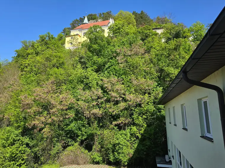 SONNIGE ZWEI-ZIMMER -MIETWOHNUNG IM ZENTRUM