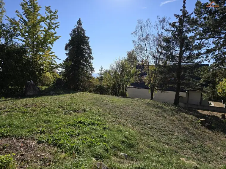 Exklusive Liegenschaft in begehrter Villenlage von Bad Fischau mit 1601m² Grundstück