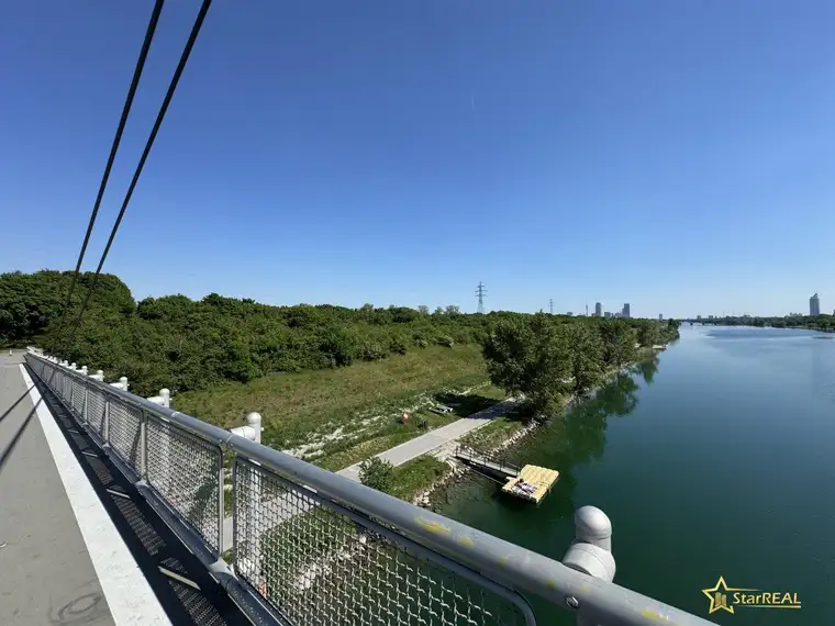 DONAUINSEL-NÄHE! GRUNDSTÜCK MIT SANIERUNGSBEDÜRFTIGEM KLEINHAUS/ABRISSHAUS.