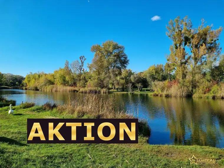 Maria Grace Deutschbauer, StarREAL OG