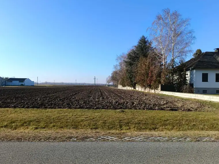 2422 Pama - Freunde aufgepasst - zwei nebeneinander liegende Baugrundstücke