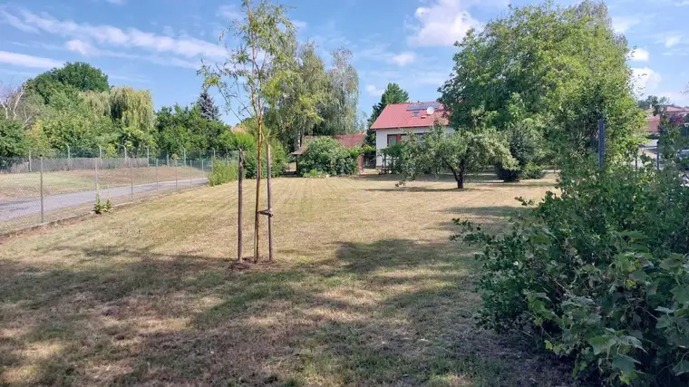 2471 Schönabrunn - Einfamilienhaus mit zusätzl. kleiner Einliegerwohnung