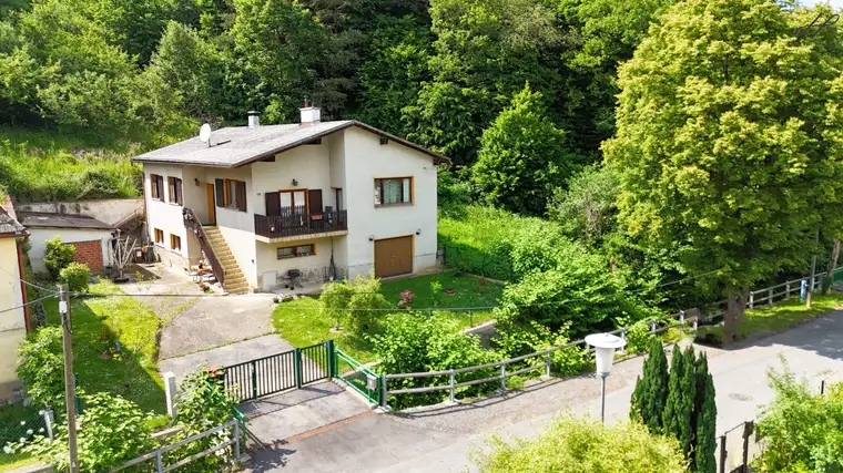 ruhiges, idyllisches Leben am Waldrand - Einfamilienhaus umgeben von Natur