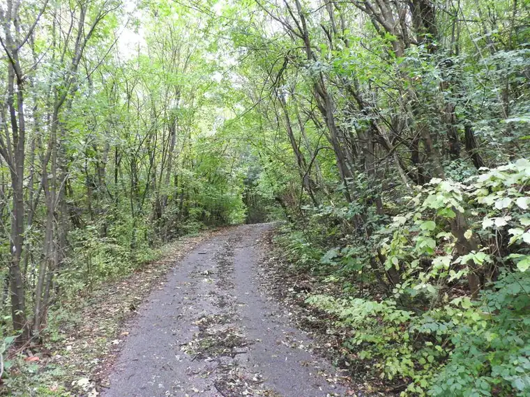 fast 2 ha Wald nahe der Wiener Stadtgrenze