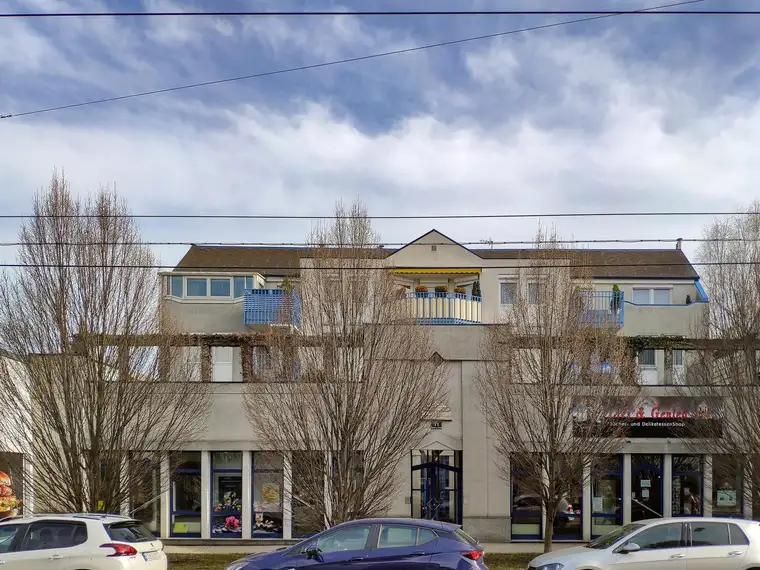 Geschäftslokal - Speisinger Straße 71
