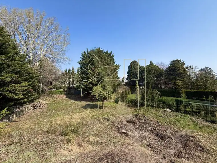 VILLENBAUGRUND IN GRINZINGER BESTLAGE