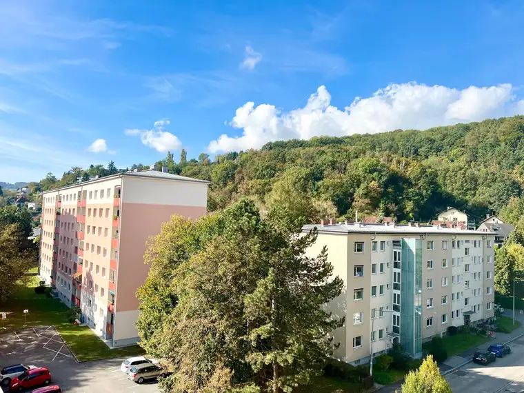 Wohntraum in Linz Urfahr: 3-Zimmer Wohnung - Grün, Urban und WG-geeignet