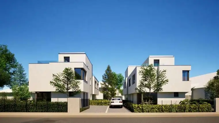 Markus Hartmann, Laura Bauträger GmbH
