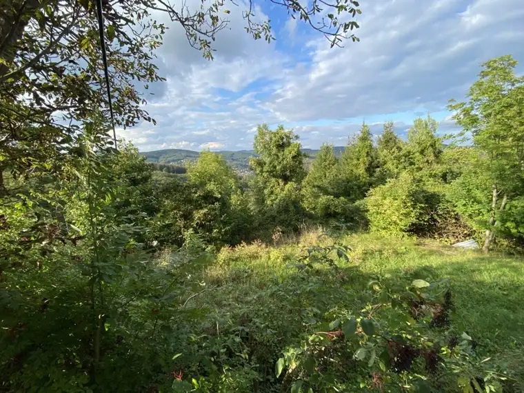 PREISREDUKTION! 973 m² Grundstück in absoluter Grünruhelage 1140 Wien ideal für ein Eigenheim !