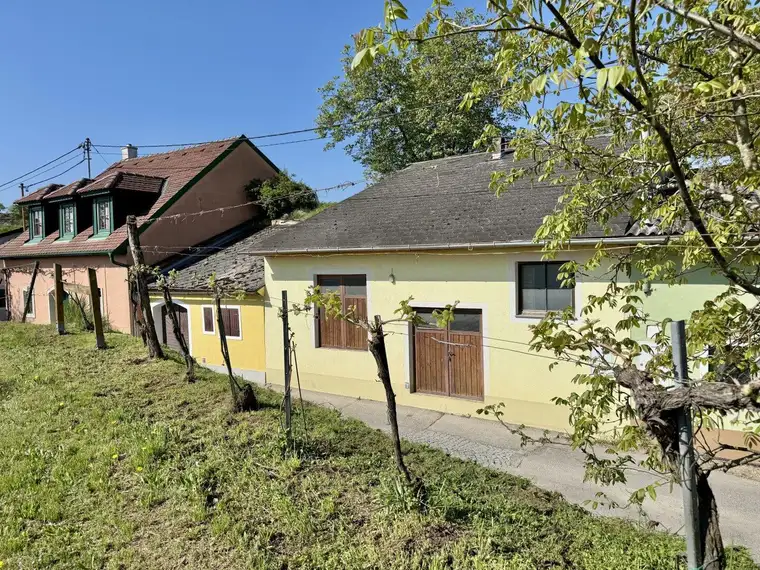 Weinkeller in idyllischer Kellergasse | Nähe Langenlois