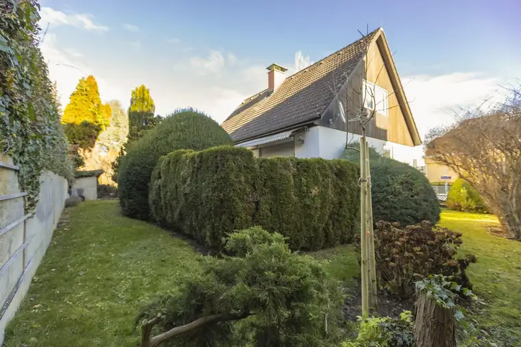 Echtes Bauland in Döbling – kein Kleingarten. Und das zu einem fairen Preis