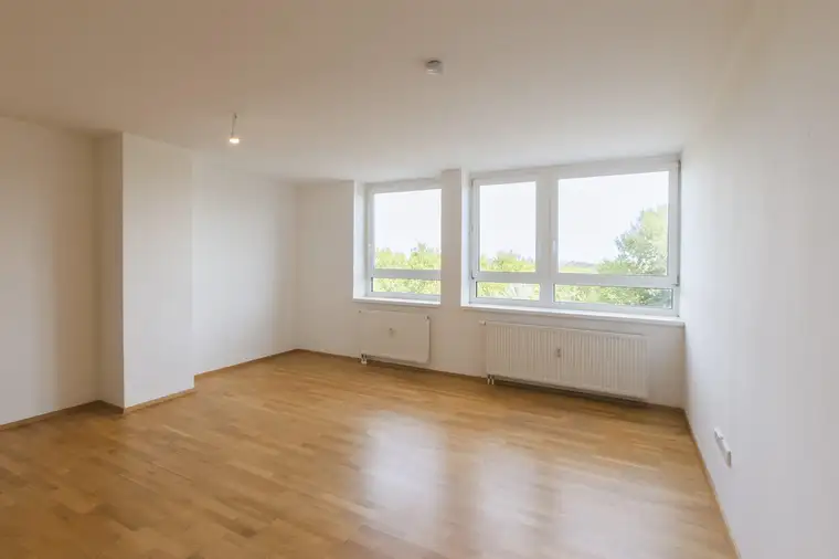 Charmante 2-Zi-Wohnung direkt an der Donau