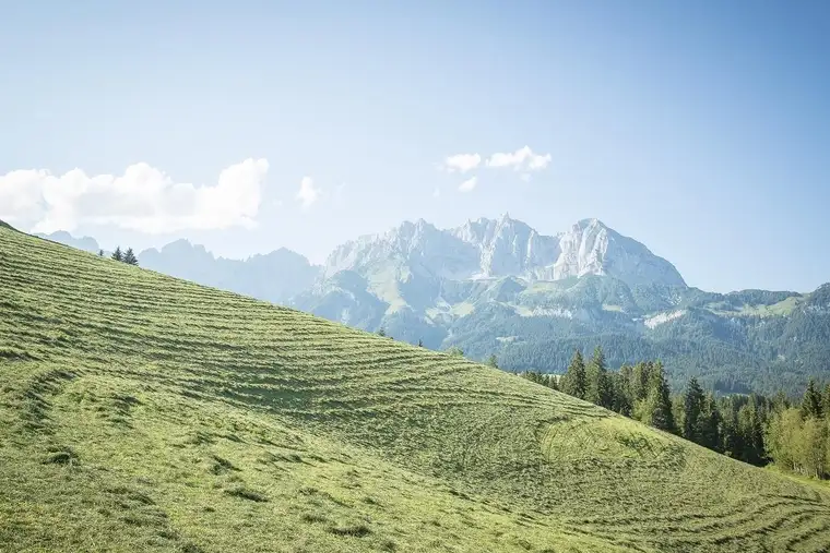 FIRST Real Estate Kitzbühel