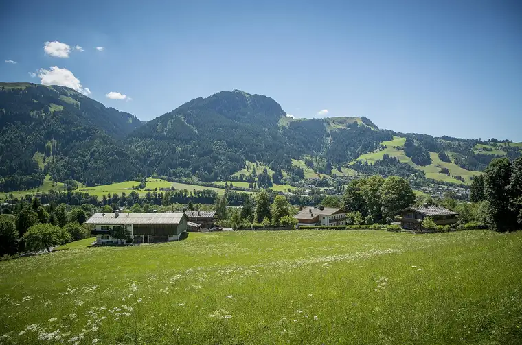 Gut Schönruh