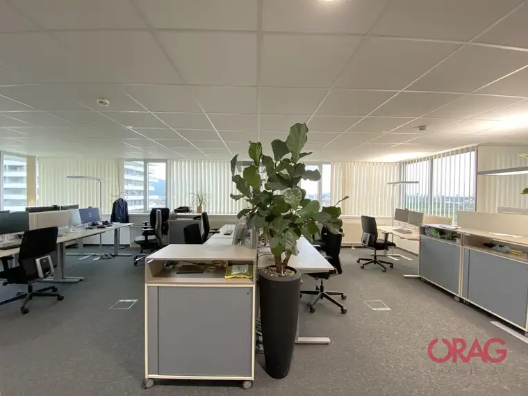 Großzügige &amp; helle Büroflächen mit guter Infrastruktur