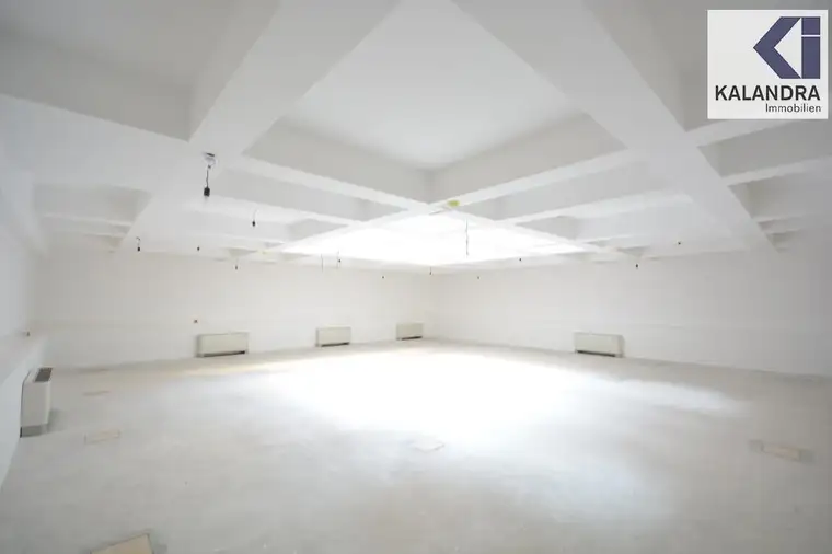 GESCHÄFTS-/ BÜRO-/ PRÄSENATIONS-FLÄCHEN nahe SCHOTTENTOR