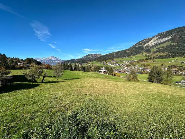 Idyllisches Grundstück mit einzigartiger Kulisse (06283)