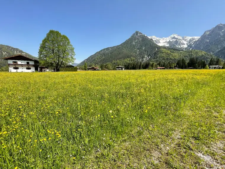 Gut geschnittenes Baugrundstück in sonniger Lage ( 05641 )