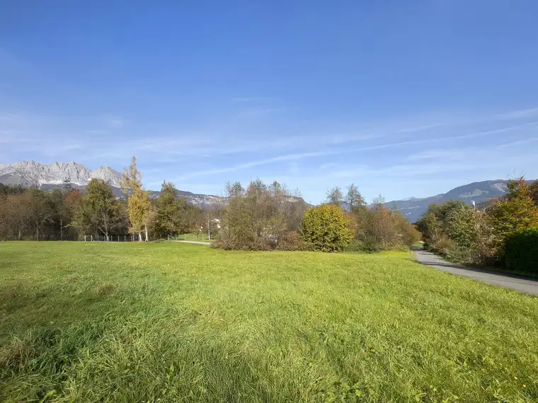 Traumhaftes Baugrundstück mit Kaiser- und Hornblick ( 06281 )